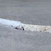Slab floor cracks showing in a Glenshaw home