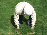 Restoring the landscaping by replacing removed lawn sections for a Monroeville home.