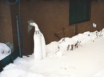 IceGuard® Installed Bethel Park